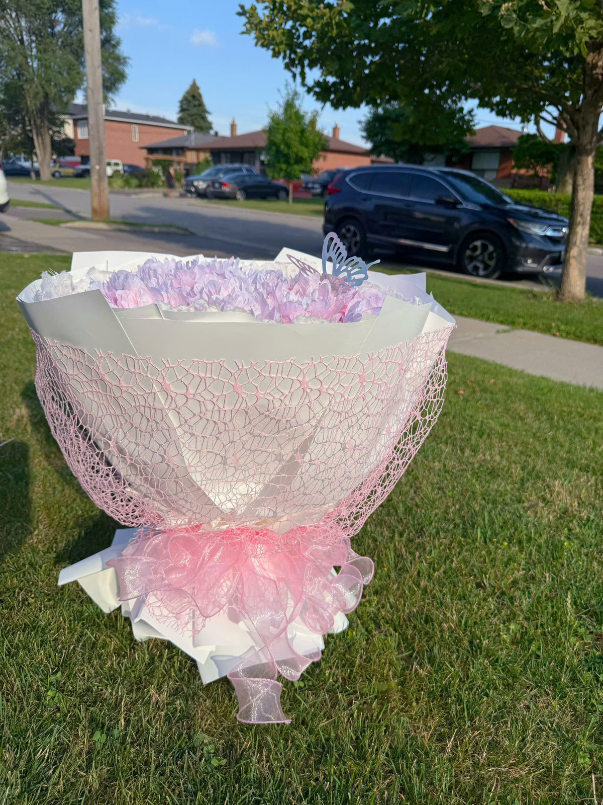 Hoa mẫu đơn tone hồng pastel, phối màu quá dịu keo