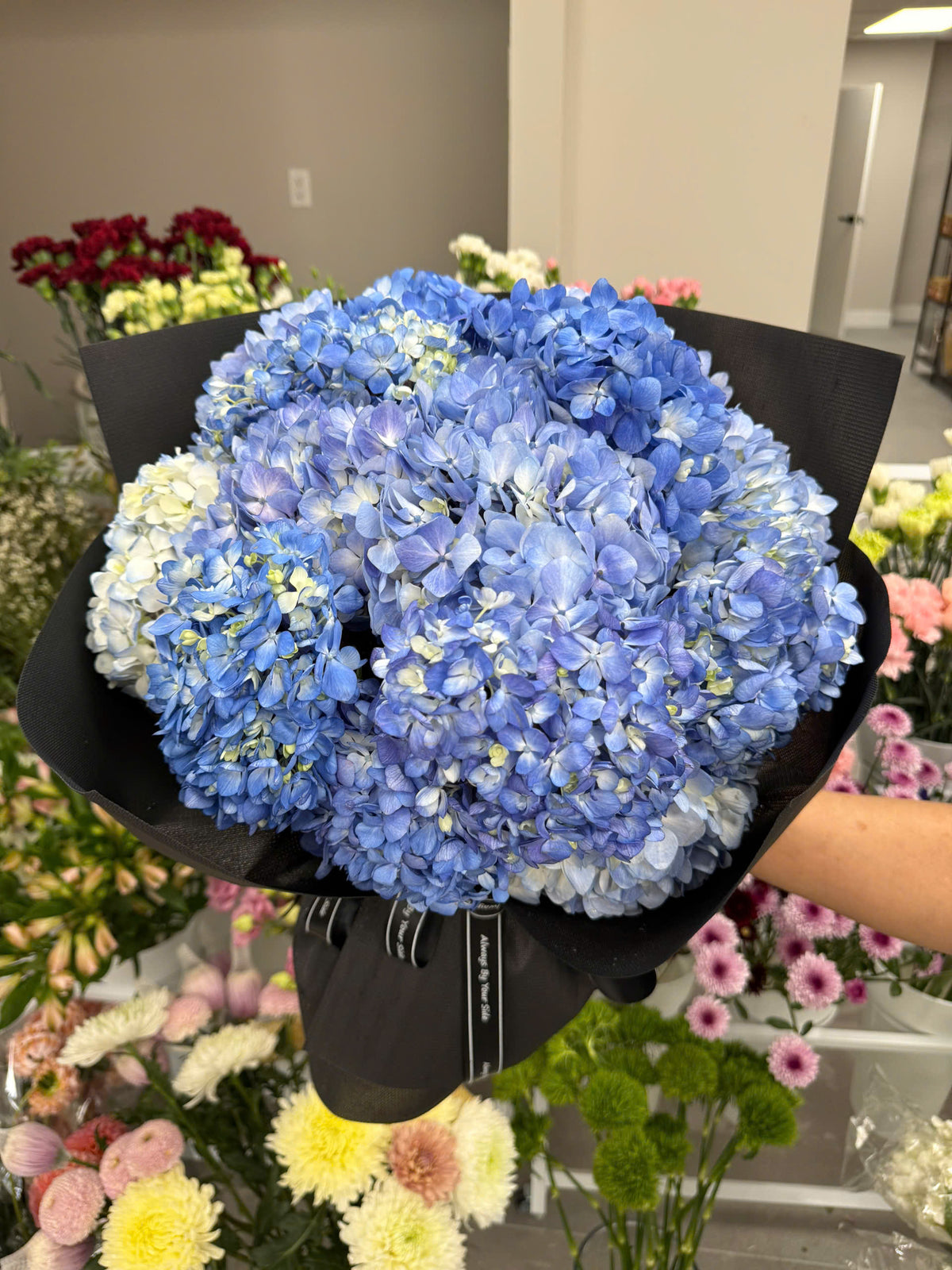 Fresh Flowers – Blue Hydrangeas 🌿💙