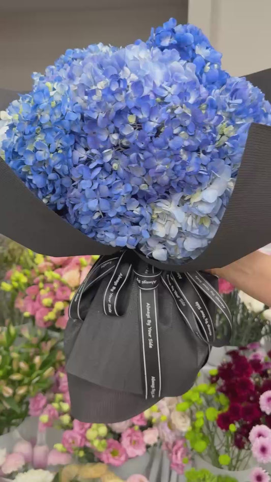 Fresh Flowers – Blue Hydrangeas 🌿💙